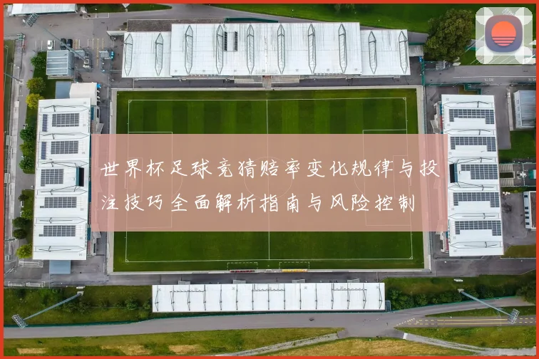 世界杯足球竞猜赔率变化规律与投注技巧全面解析指南与风险控制