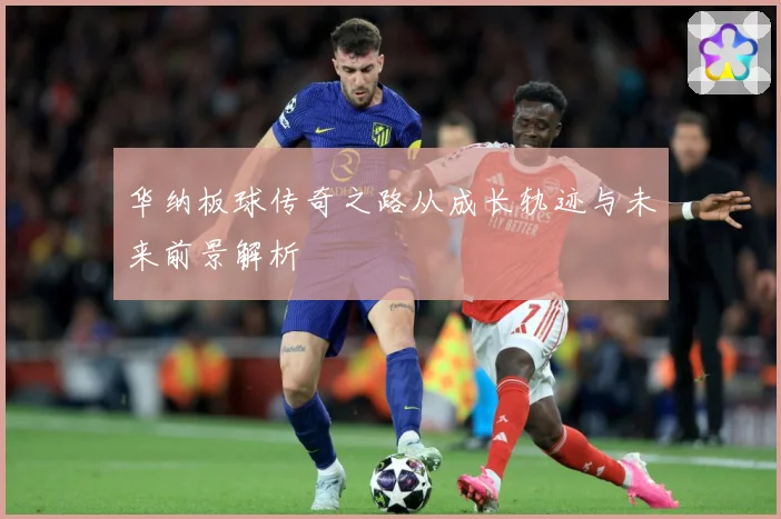 华纳板球传奇之路从成长轨迹与未来前景解析