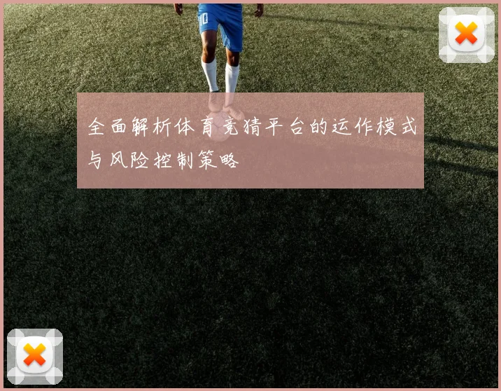全面解析体育竞猜平台的运作模式与风险控制策略