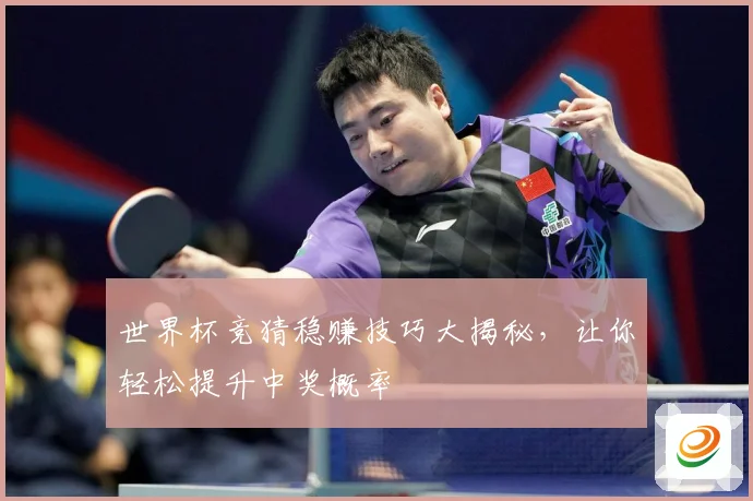 世界杯竞猜稳赚技巧大揭秘，让你轻松提升中奖概率