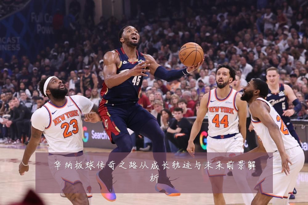 华纳板球传奇之路从成长轨迹与未来前景解析