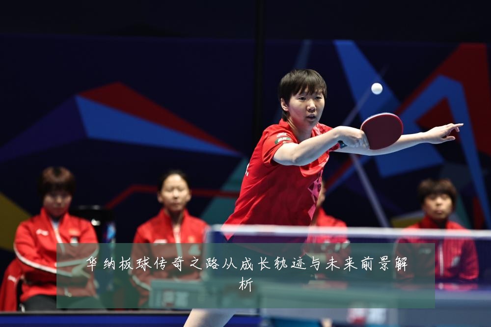华纳板球传奇之路从成长轨迹与未来前景解析