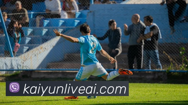 开云平台展示图