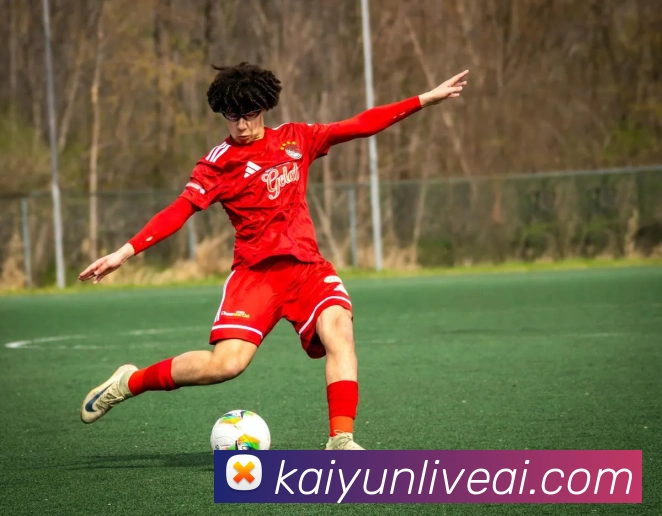 开云娱乐全站App